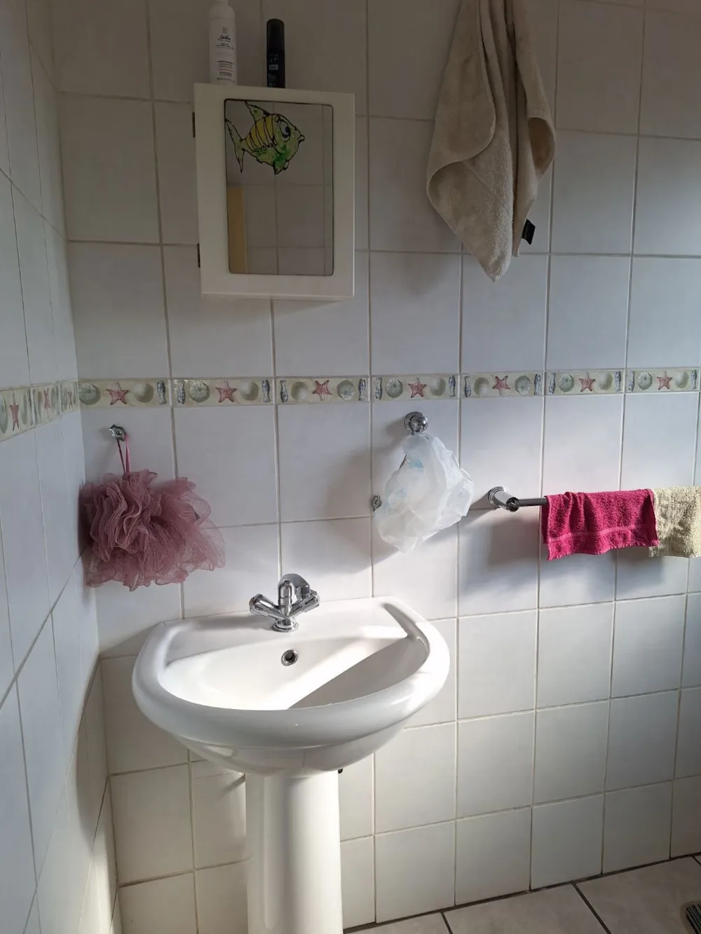 House to rent in Witbank (eMalahleni) - 1WD1746480