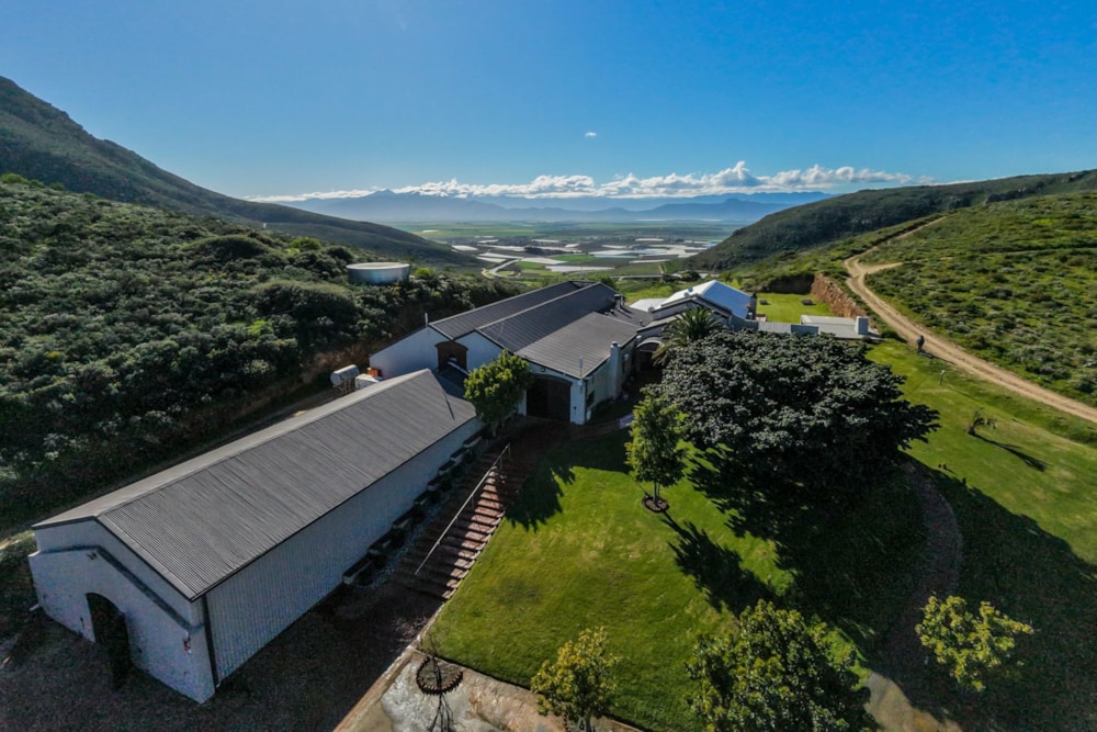 Wine farm for sale in Riebeek Kasteel - RV1746493 Wine farm for sale in Riebeek Kasteel - RV1746493