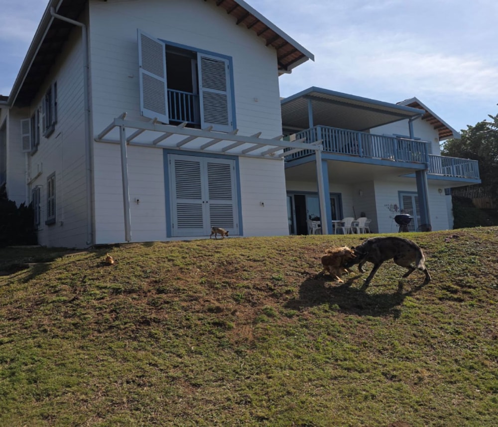 Cottage to rent in Pennington - 1SI1746619