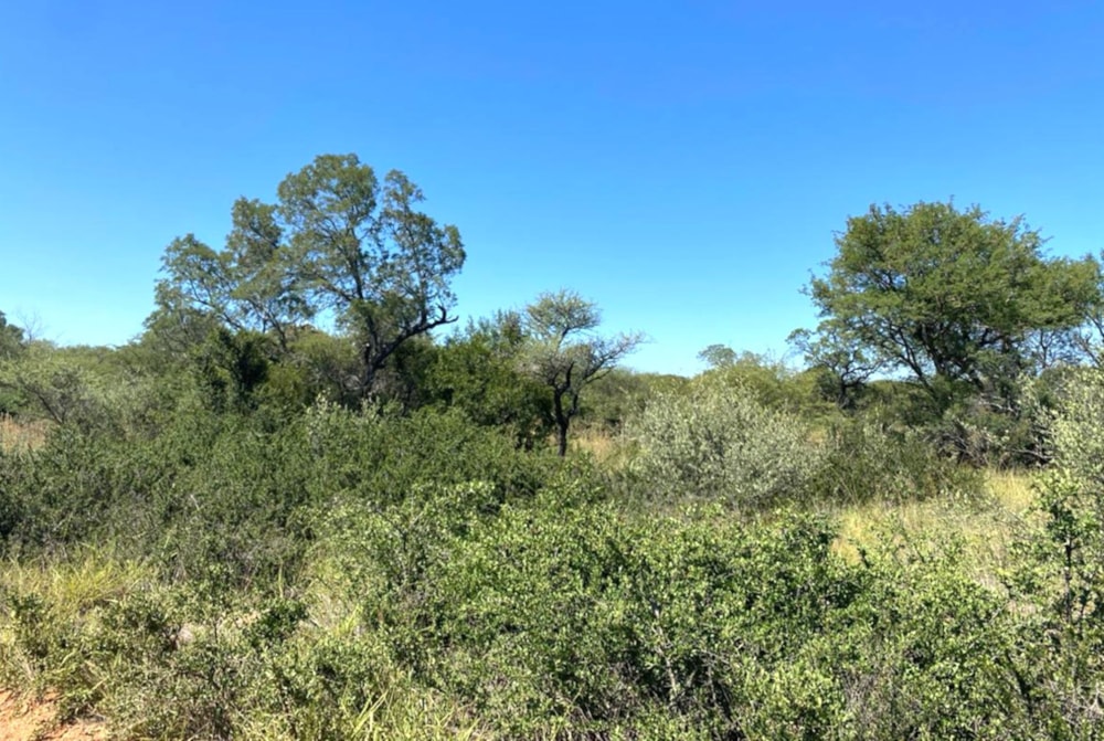 Residential vacant land for sale in Thabazimbi - 1MDM1746688