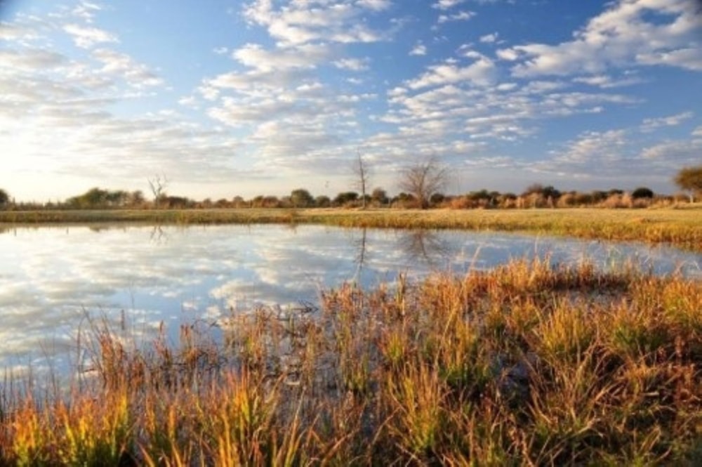 Residential vacant land for sale in Thabazimbi - 1MDM1746688