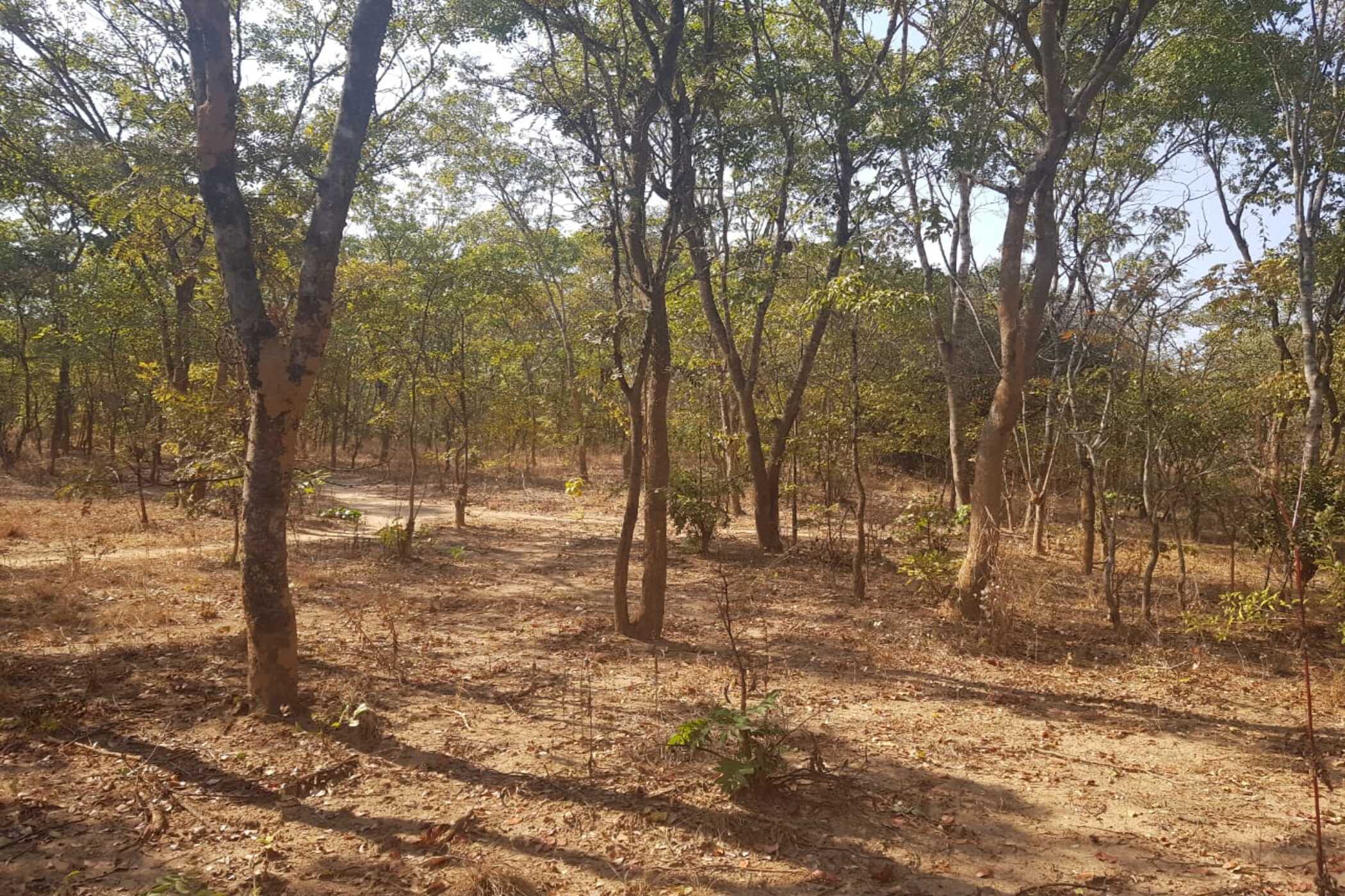 Farm vacant land for sale in Kapiri Mposhi, Zambia - 3ZA1746706