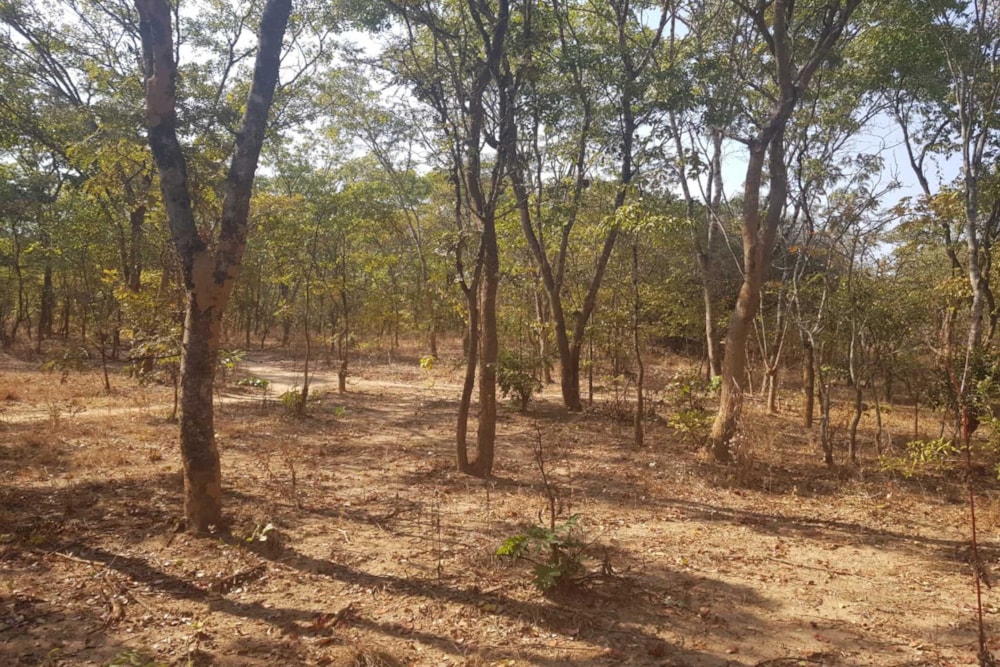 Farm vacant land for sale in Kapiri Mposhi, Zambia - 3ZA1746706