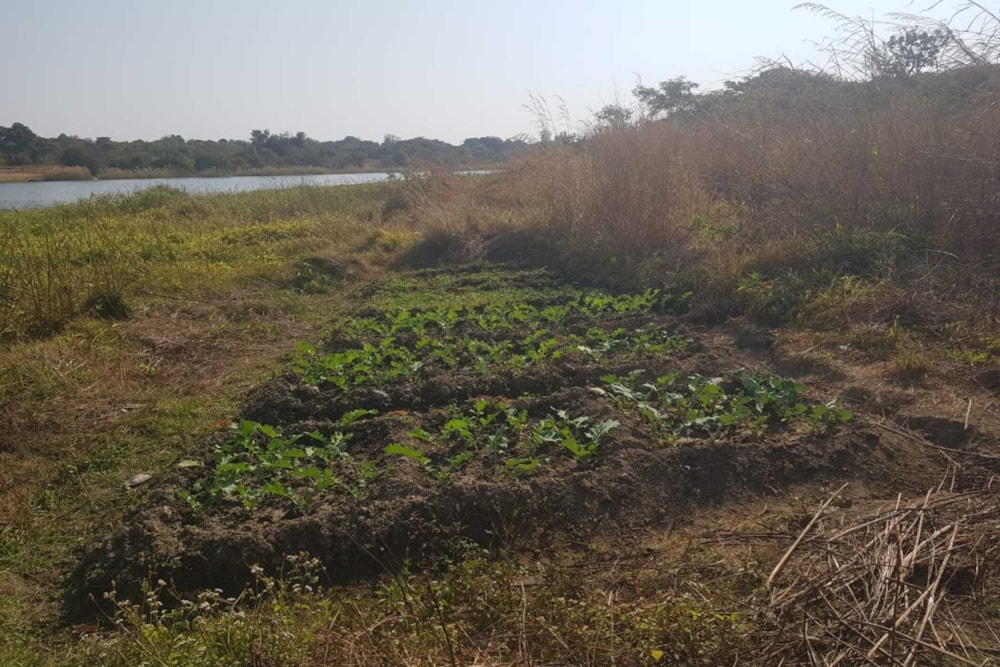 Farm vacant land for sale in Kapiri Mposhi, Zambia - 3ZA1746706 Farm vacant land for sale in Kapiri Mposhi, Zambia - 3ZA1746706