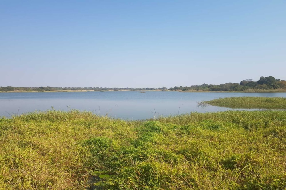 Farm vacant land for sale in Kapiri Mposhi, Zambia - 3ZA1746706 Farm vacant land for sale in Kapiri Mposhi, Zambia - 3ZA1746706