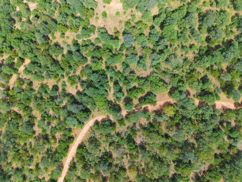 Vacant land for sale in Elephant Rock Eco Estate - 1HS1746753