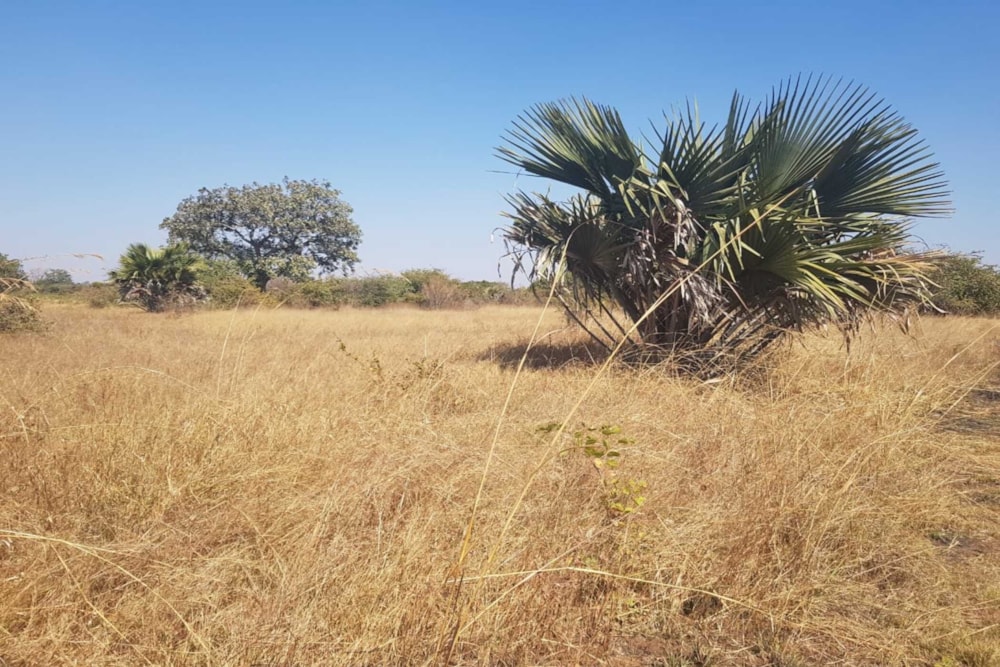 Vacant land for sale in Lusaka West, Zambia - 3ZA1746805
