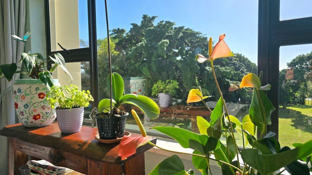Apartment for sale in Margate - 1PSH1747117 Apartment for sale in Margate - 1PSH1747117