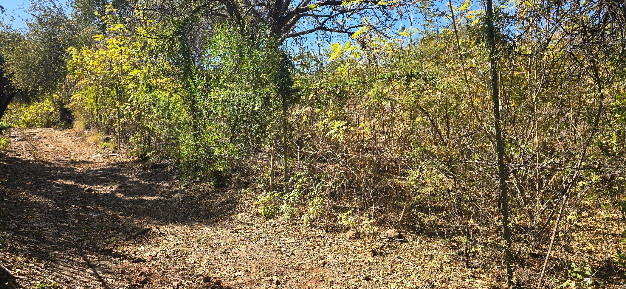 Residential vacant land for sale in Elandsrand - 1HR1747197