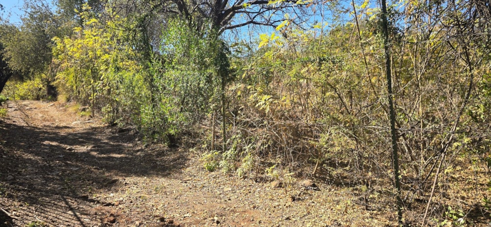 Residential vacant land for sale in Elandsrand - 1HR1747197 Residential vacant land for sale in Elandsrand - 1HR1747197