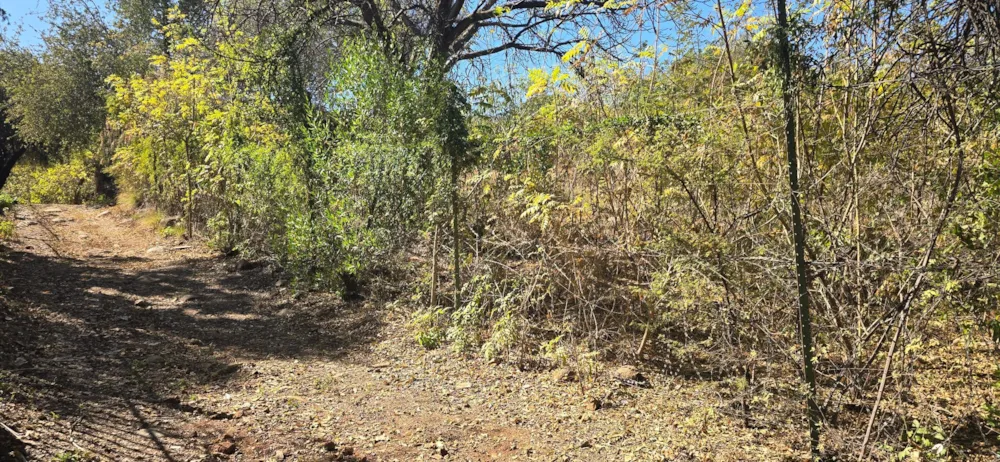 Residential vacant land for sale in Elandsrand - 1HR1747197 Residential vacant land for sale in Elandsrand - 1HR1747197