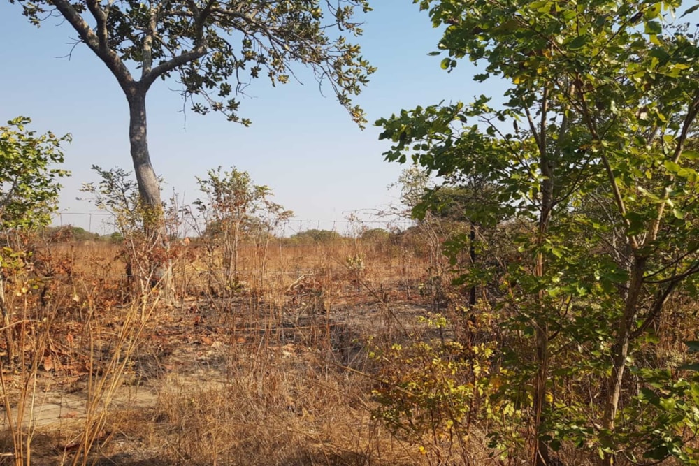Farm vacant land for sale in Chaminuka, Lusaka Province, Lusaka, Zambia - 3ZA1747401
