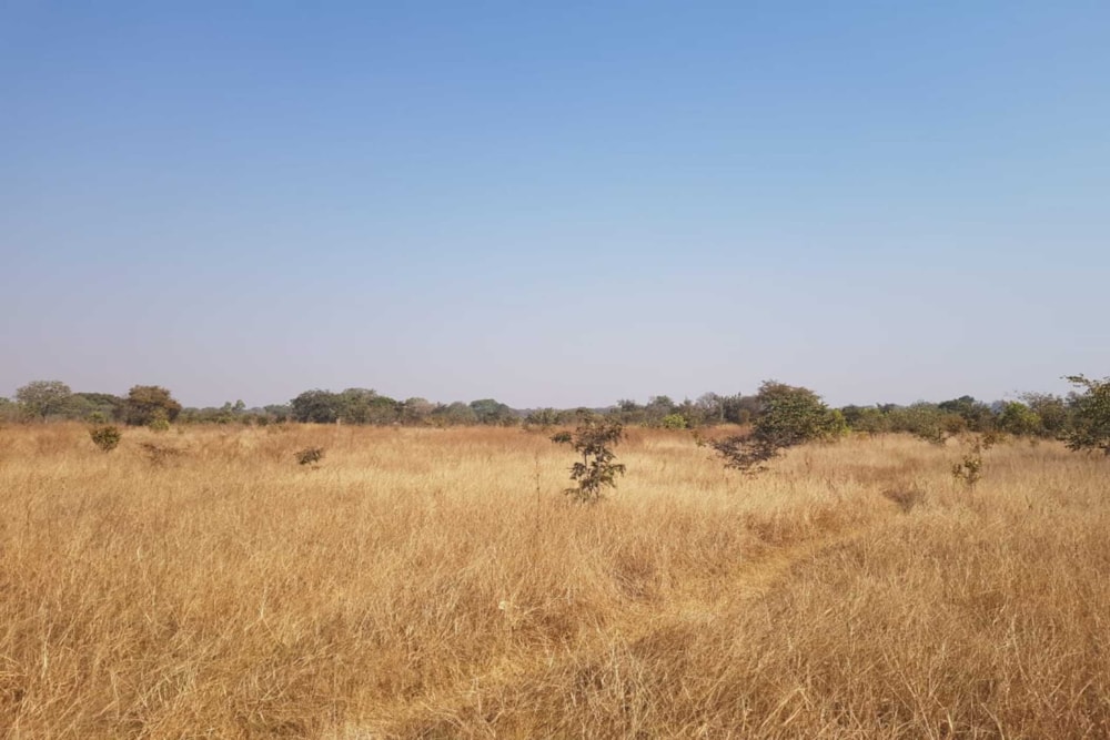 Farm vacant land for sale in Chaminuka, Lusaka Province, Lusaka, Zambia - 3ZA1747401