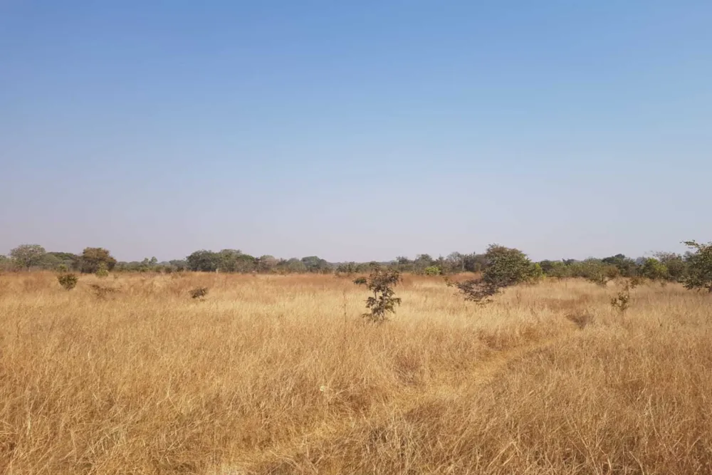 Farm vacant land for sale in Chisamba, Zambia - 3ZA1747401 Farm vacant land for sale in Chisamba, Zambia - 3ZA1747401