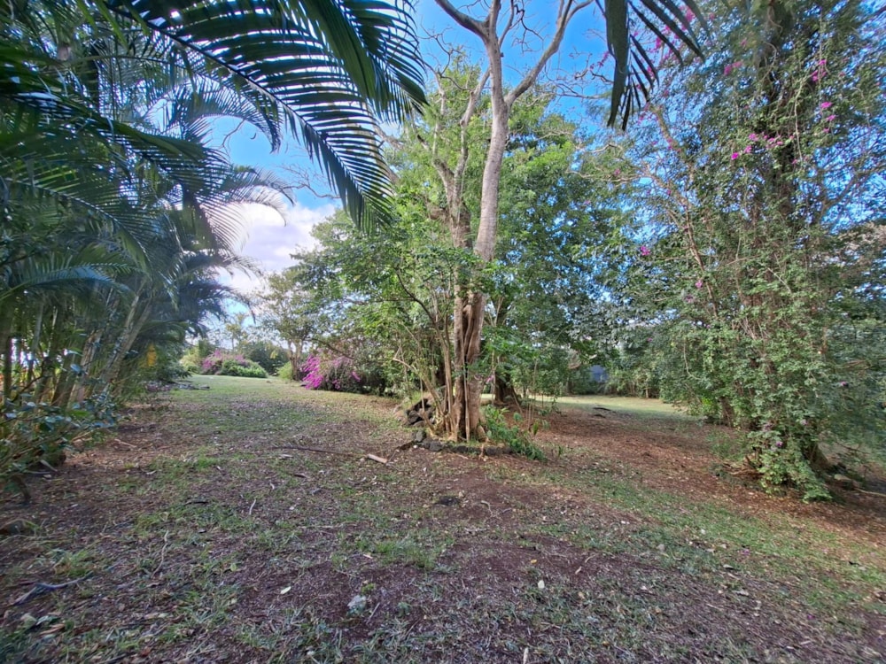 Vacant land for sale in Mapou, Mauritius - MPR1747446 Vacant land for sale in Mapou, Mauritius - MPR1747446