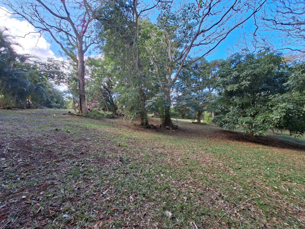 Vacant land for sale in Mapou, Mauritius - MPR1747446 Vacant land for sale in Mapou, Mauritius - MPR1747446
