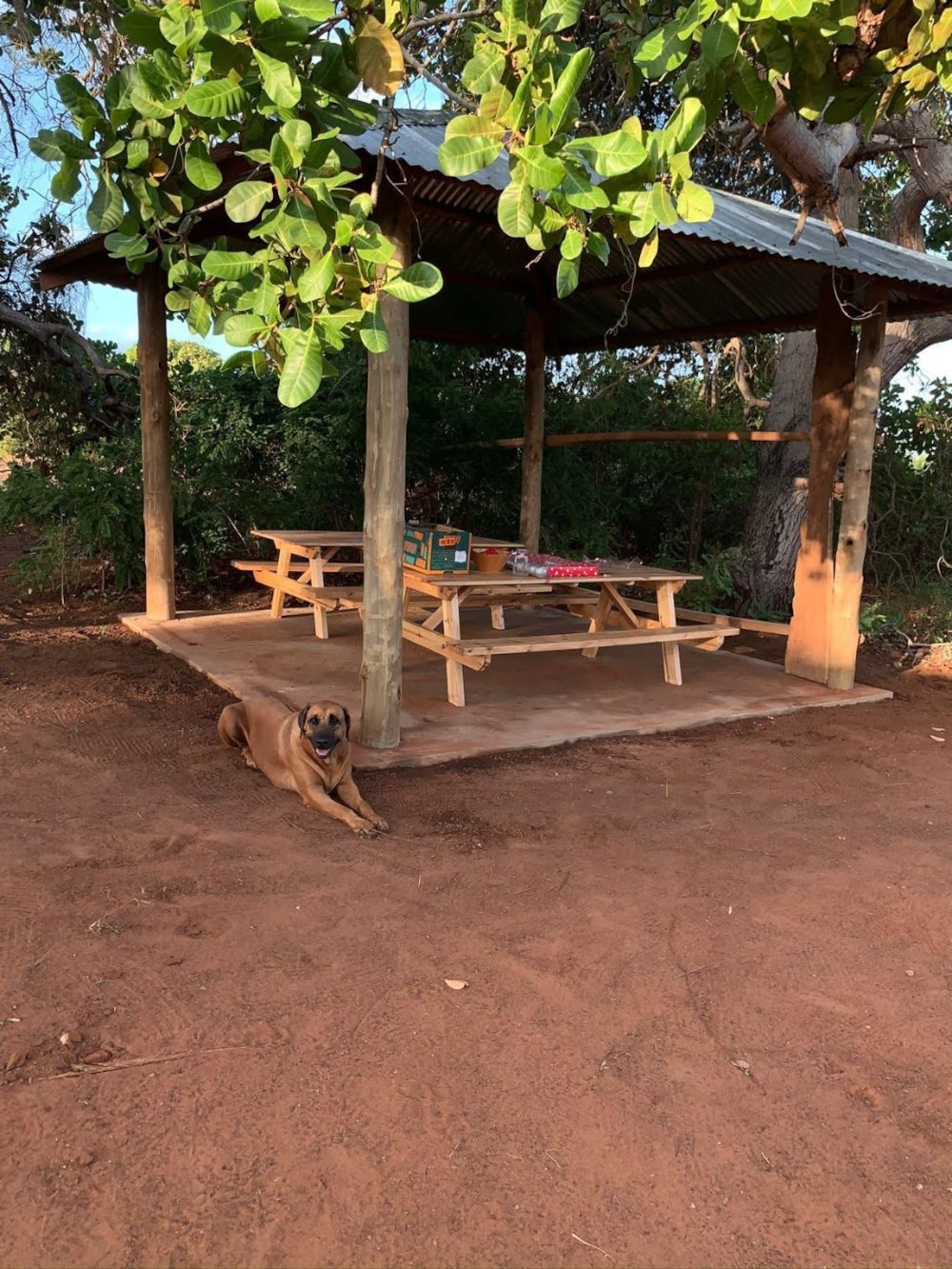 Commercial business for sale in Pemba, Cabo Delgado, Mozambique - 3MQ1747677 Commercial business for sale in Pemba, Cabo Delgado, Mozambique - 3MQ1747677
