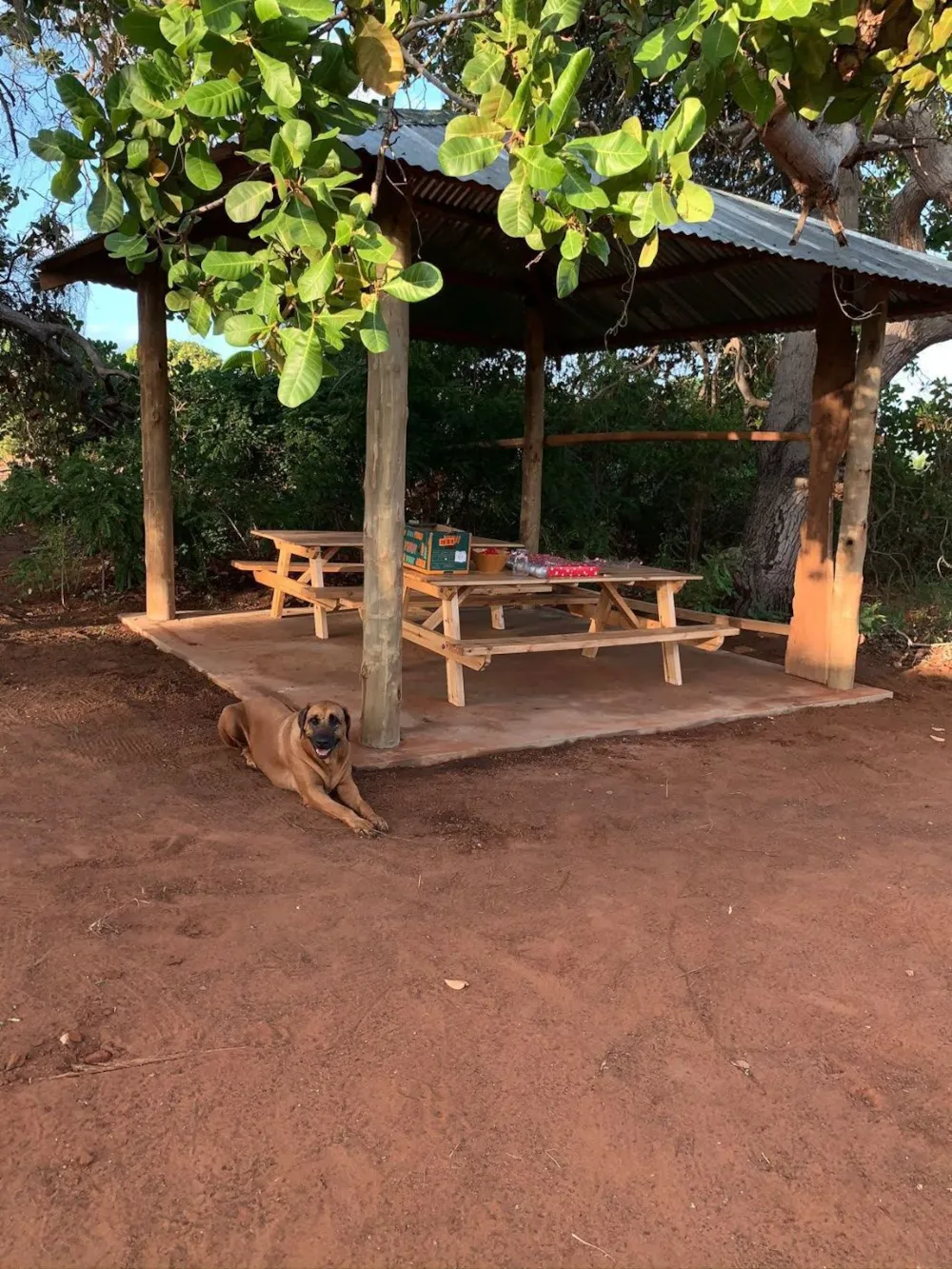 Commercial business for sale in Pemba, Cabo Delgado, Mozambique - 3MQ1747677 Commercial business for sale in Pemba, Cabo Delgado, Mozambique - 3MQ1747677