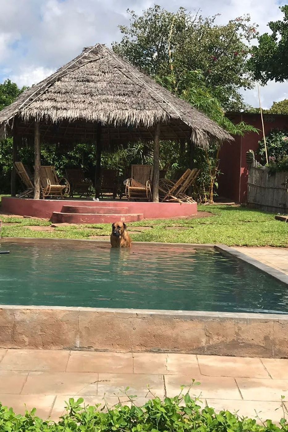 Commercial business for sale in Pemba, Cabo Delgado, Mozambique - 3MQ1747677 Commercial business for sale in Pemba, Cabo Delgado, Mozambique - 3MQ1747677