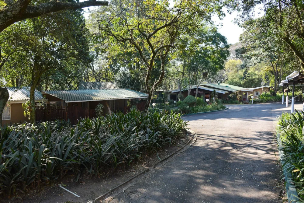 Function venue for sale in Thornville - 1PM1745699