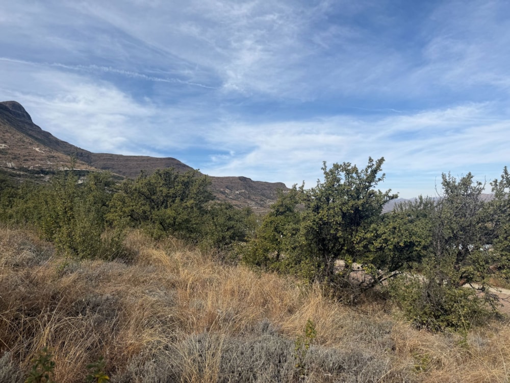 Residential vacant land for sale in Clarens - 1CS1746591