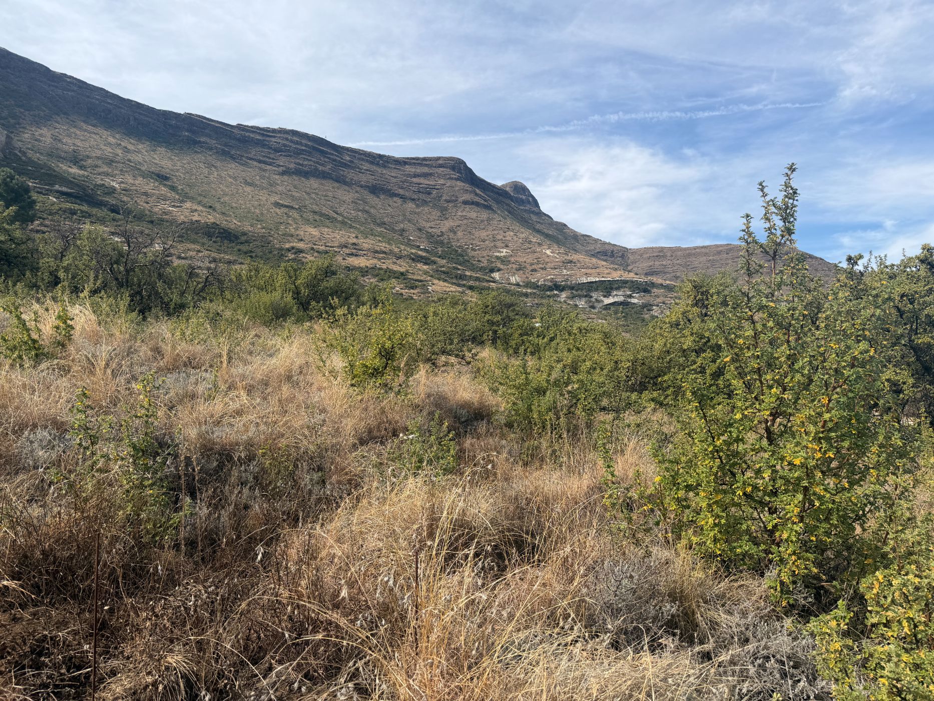 Residential vacant land for sale in Clarens - 1CS1746591