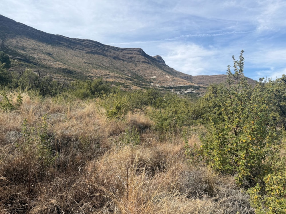 Residential vacant land for sale in Clarens - 1CS1746591 Residential vacant land for sale in Clarens - 1CS1746591