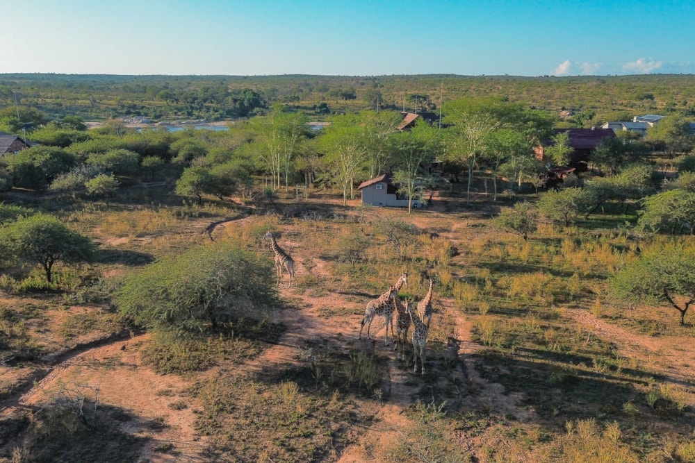 House to rent in Marloth Park - 1NK1739233 House to rent in Marloth Park - 1NK1739233