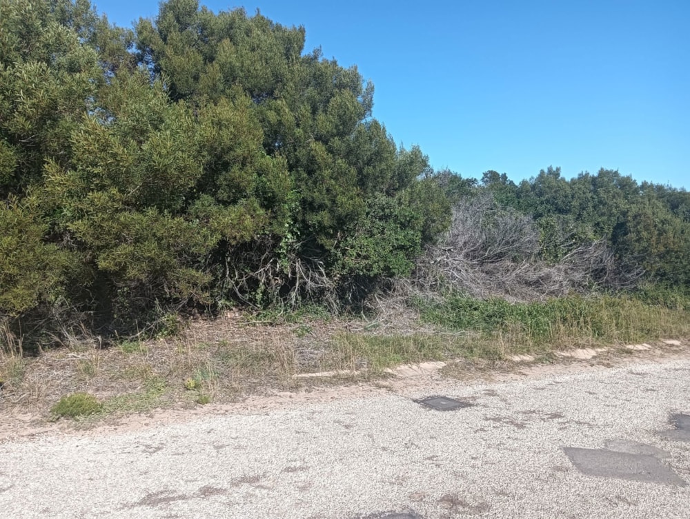 Residential vacant land for sale in Paradise Beach, Jeffreys Bay - 1JF1745413 Residential vacant land for sale in Paradise Beach, Jeffreys Bay - 1JF1745413