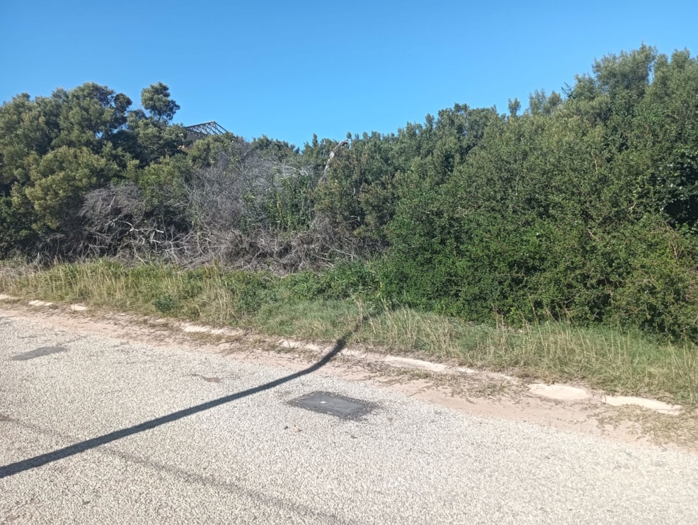 Residential vacant land for sale in Paradise Beach, Jeffreys Bay - 1JF1745416 Residential vacant land for sale in Paradise Beach, Jeffreys Bay - 1JF1745416