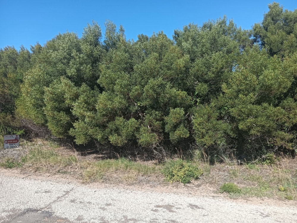 Residential vacant land for sale in Paradise Beach, Jeffreys Bay - 1JF1745416 Residential vacant land for sale in Paradise Beach, Jeffreys Bay - 1JF1745416