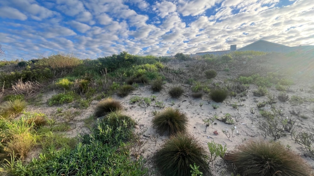 Residential vacant land for sale in Paradise Beach, Jeffreys Bay - 1JF1744957 Residential vacant land for sale in Paradise Beach, Jeffreys Bay - 1JF1744957