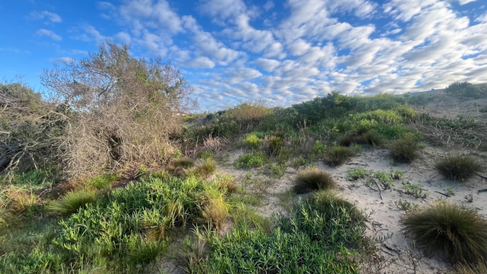 Residential vacant land for sale in Paradise Beach, Jeffreys Bay - 1JF1744957 Residential vacant land for sale in Paradise Beach, Jeffreys Bay - 1JF1744957
