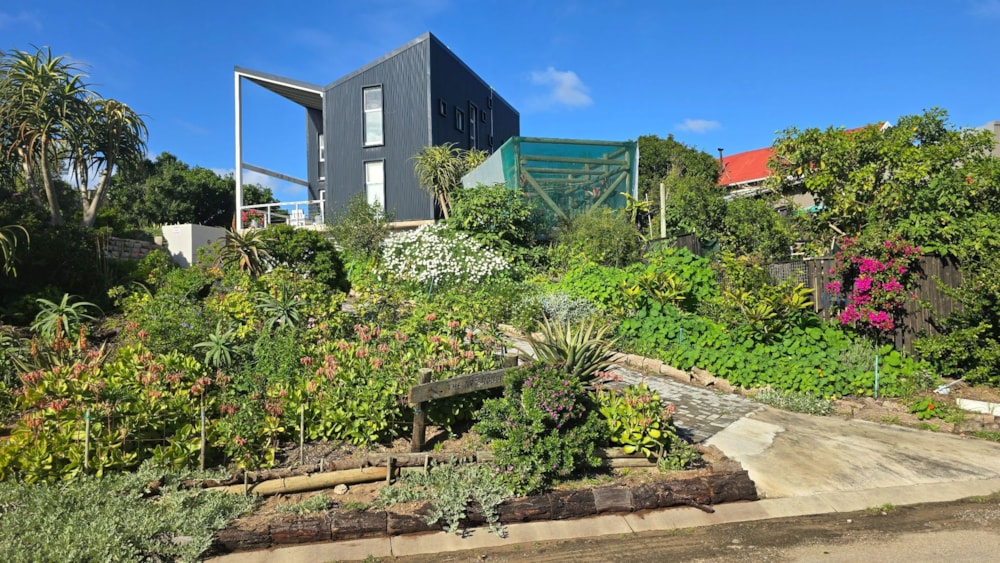 House to rent in Cape St Francis - 1SA1747340 House to rent in Cape St Francis - 1SA1747340