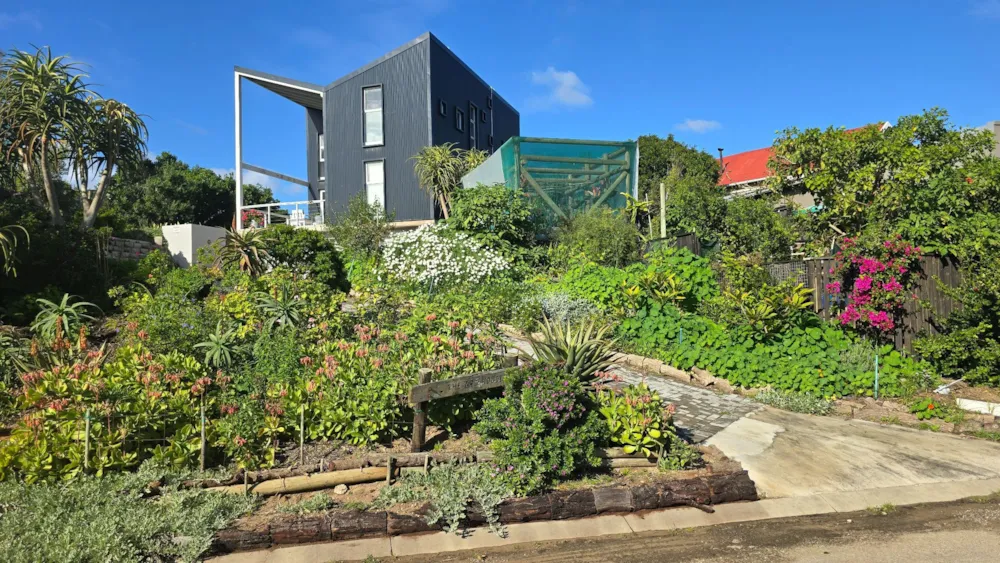 House to rent in Cape St Francis - 1SA1747340 House to rent in Cape St Francis - 1SA1747340