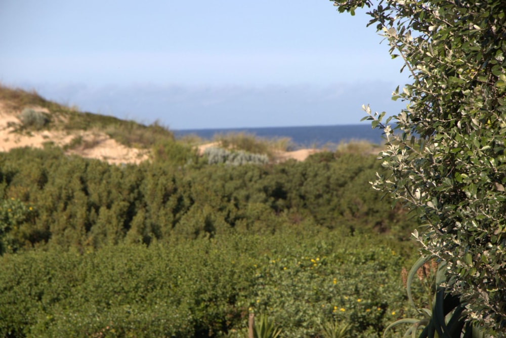 Residential vacant land for sale in Oyster Bay, Eastern Cape - 1SA1746137 Residential vacant land for sale in Oyster Bay, Eastern Cape - 1SA1746137