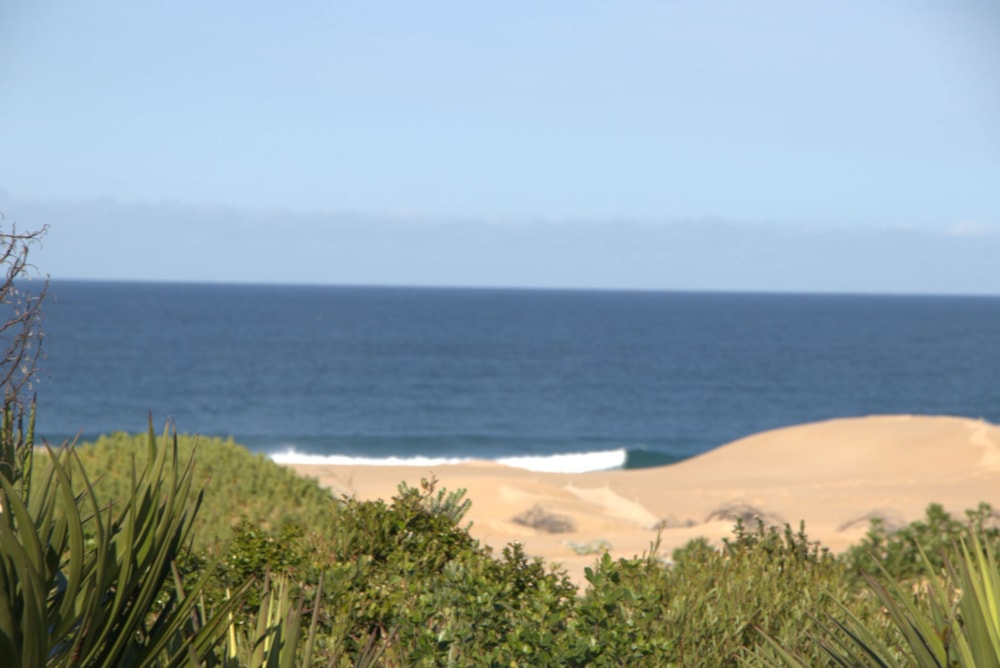 Residential vacant land for sale in Oyster Bay, Eastern Cape - 1SA1747422 Residential vacant land for sale in Oyster Bay, Eastern Cape - 1SA1747422