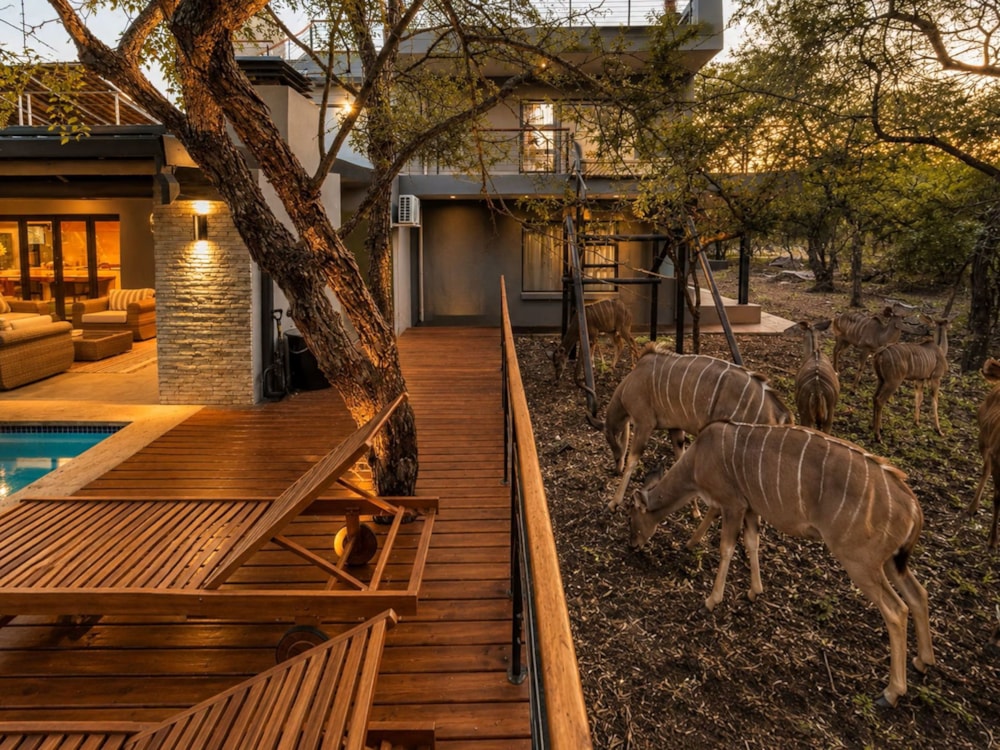 House to rent in Marloth Park - 1NK1741461 House to rent in Marloth Park - 1NK1741461