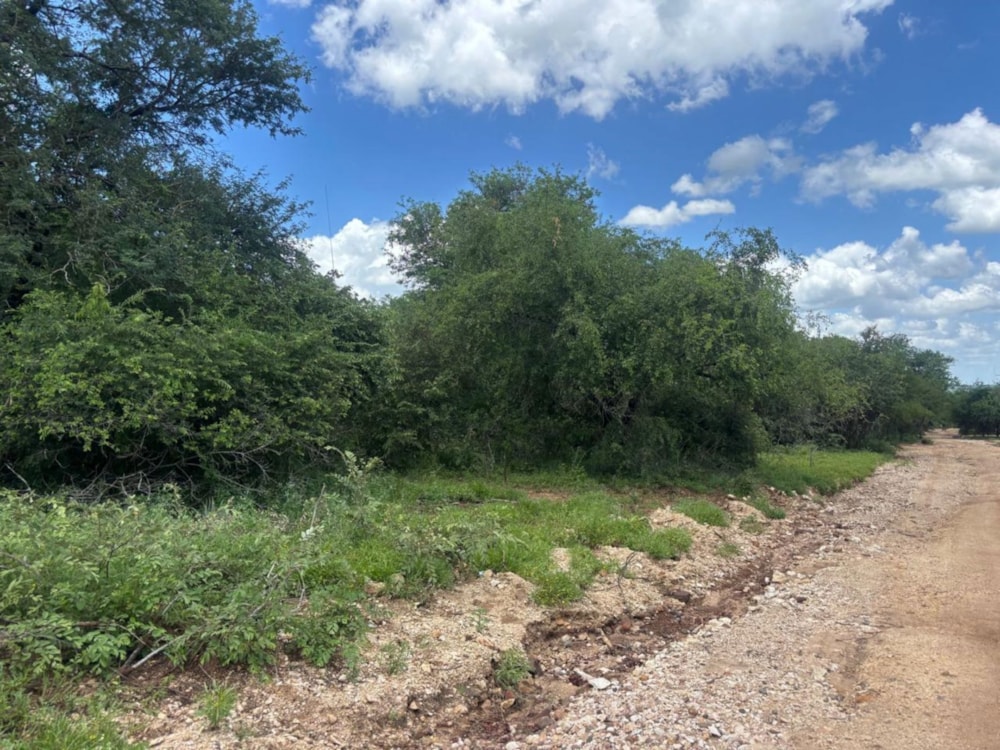House sold in Marloth Park - 1NK1748324