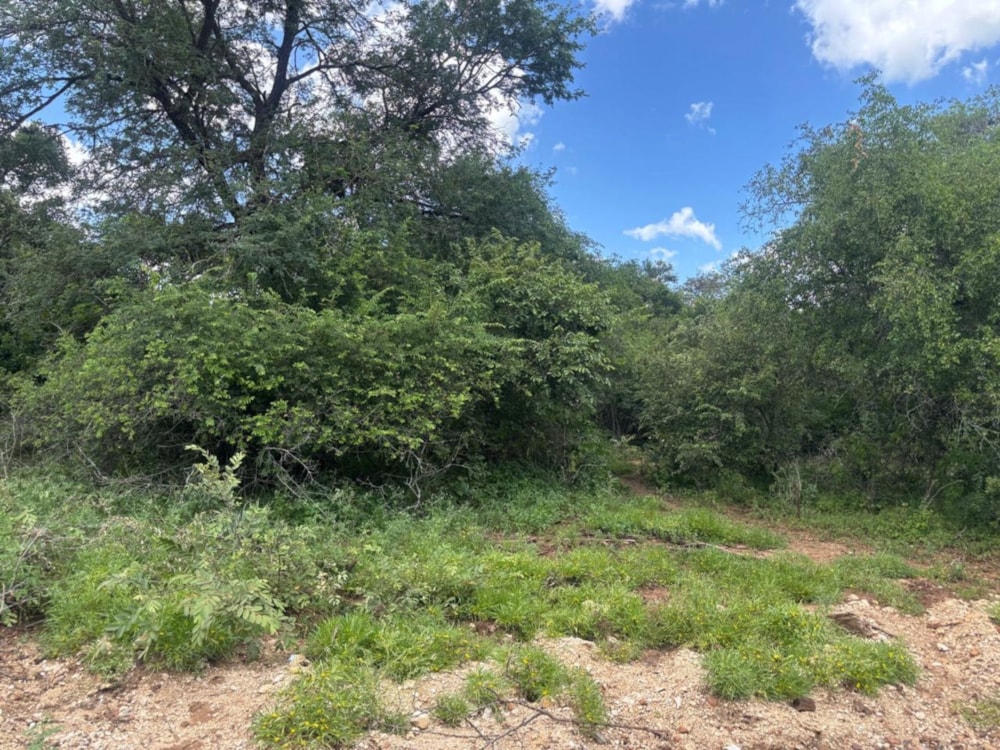 House sold in Marloth Park - 1NK1748324