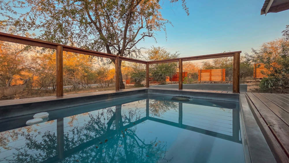 House to rent in Marloth Park - 1NK1746451 House to rent in Marloth Park - 1NK1746451