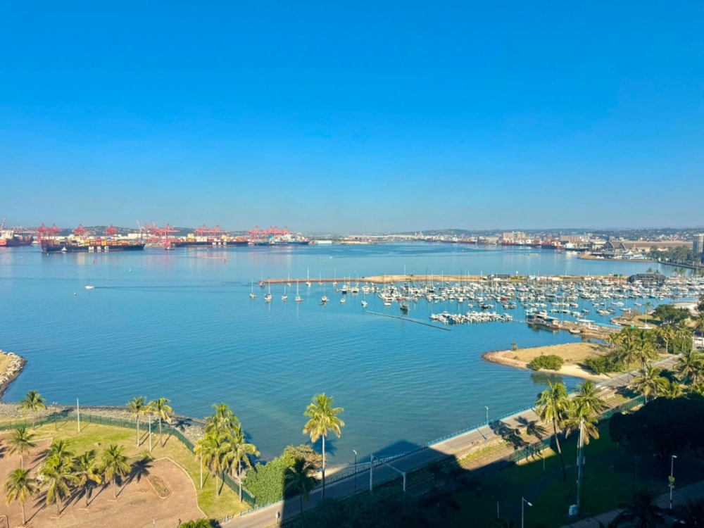 Apartment to rent in Durban Central - 1DBN1747484