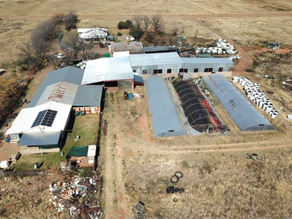 Smallholding for sale in Bloemdal - 1BX1750224 Smallholding for sale in Bloemdal - 1BX1750224