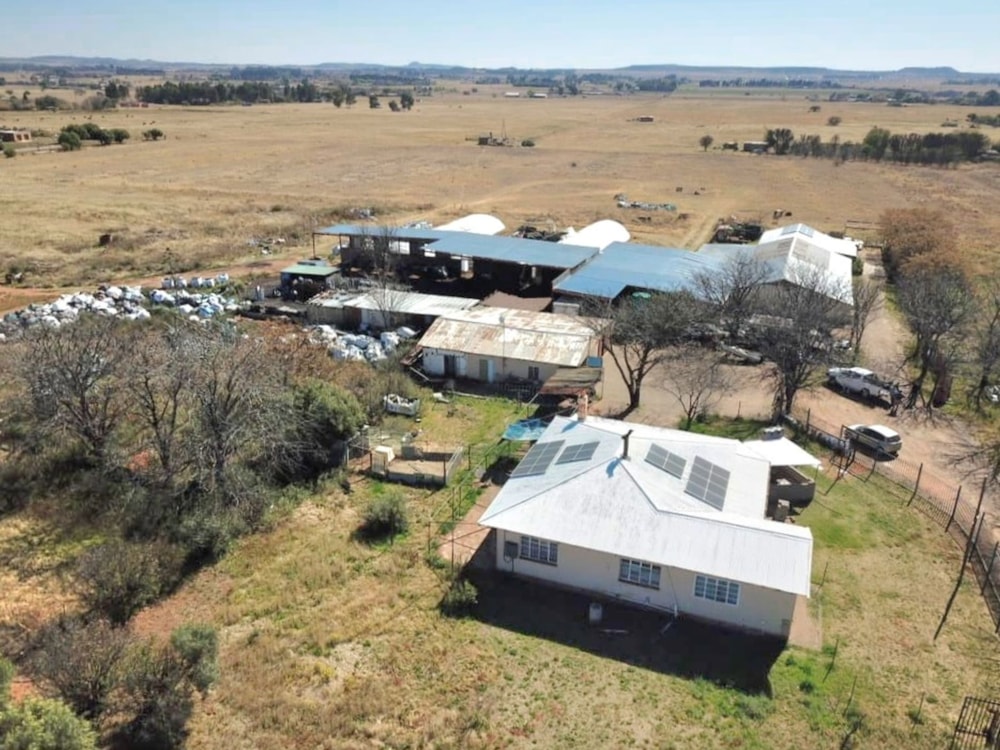 Smallholding for sale in Bloemdal - 1BX1750224 Smallholding for sale in Bloemdal - 1BX1750224