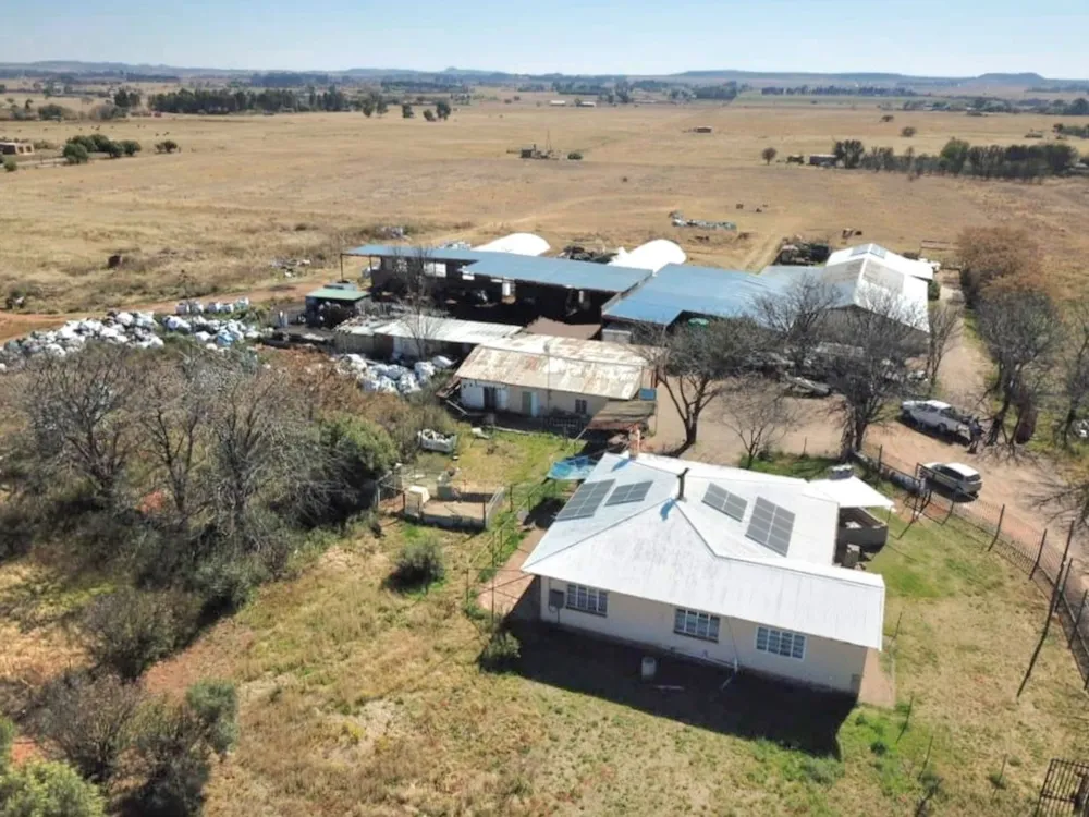 Smallholding for sale in Bloemdal - 1BX1750224 Smallholding for sale in Bloemdal - 1BX1750224