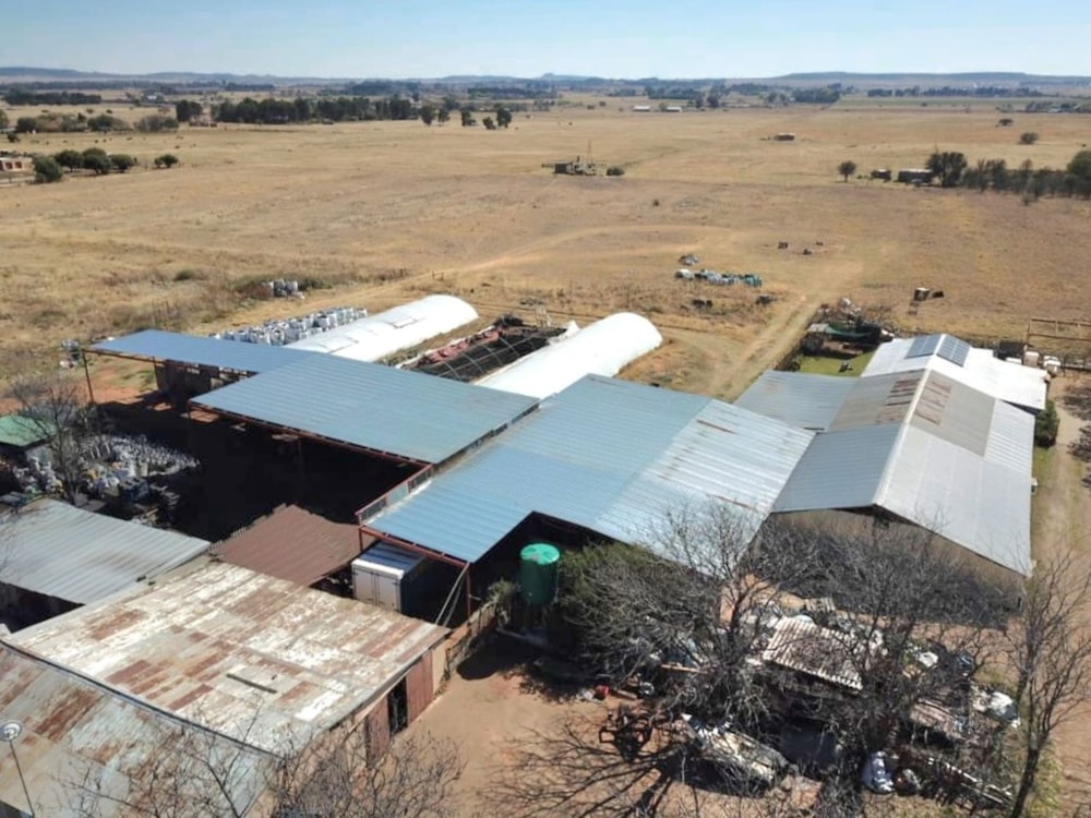 Smallholding for sale in Bloemdal - 1BX1750224 Smallholding for sale in Bloemdal - 1BX1750224