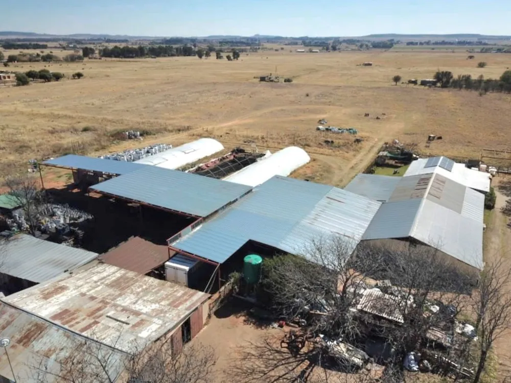 Smallholding for sale in Bloemdal - 1BX1750224 Smallholding for sale in Bloemdal - 1BX1750224