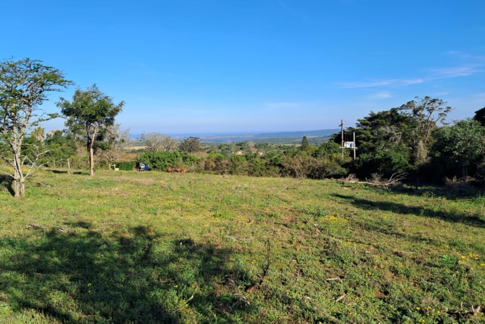 Vacant land for sale in Bathurst - 1PF1635371 Vacant land for sale in Bathurst - 1PF1635371