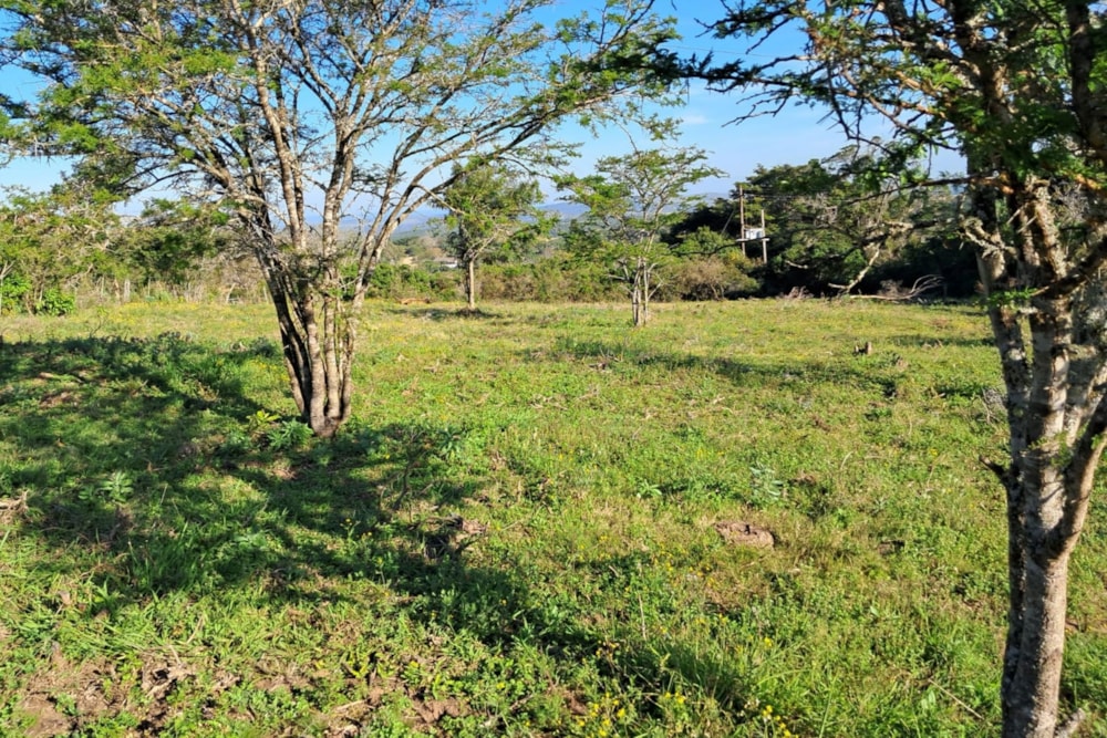 Vacant land for sale in Bathurst - 1PF1635371 Vacant land for sale in Bathurst - 1PF1635371