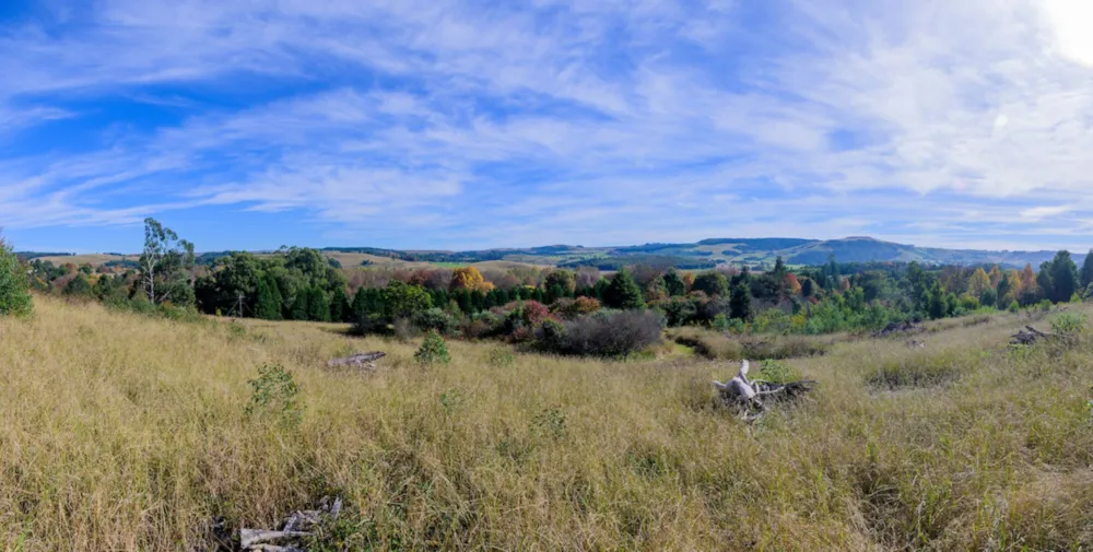 Residential vacant land for sale in Balgowan, Howick - 1PM1678203